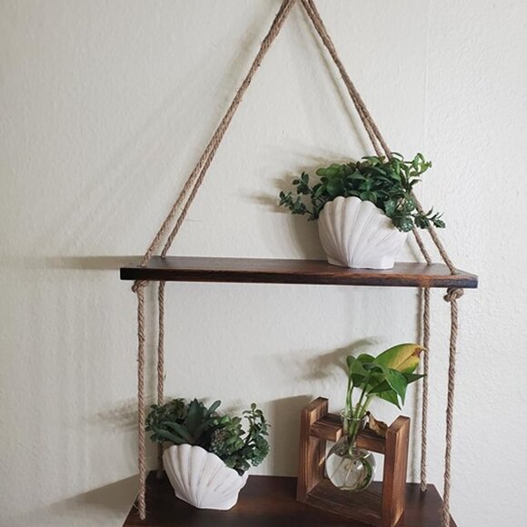 NEW Set of 2, Assorted Faux Succulents Artificial Plants with Sea Shell Pots - Picture 8 of 8